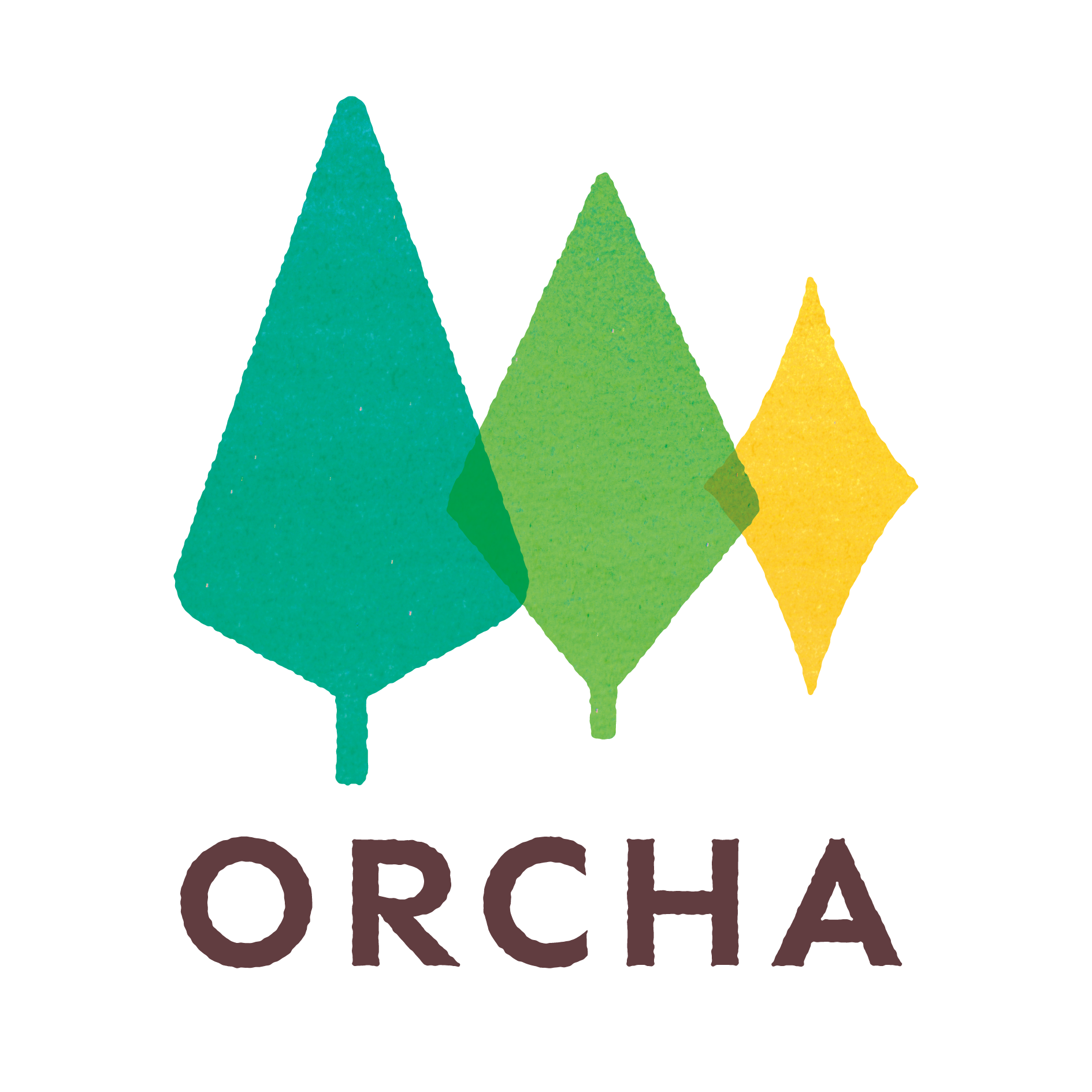 Company Profile About Orcha Corp